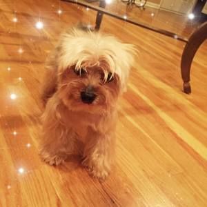 Meet your Posher, Crystal